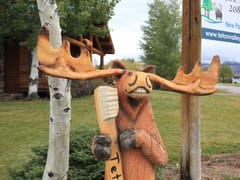 Teton Valley Dental Center