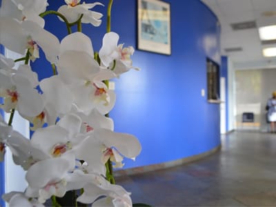 The Dental Group - Dentist in Fort Lauderdale