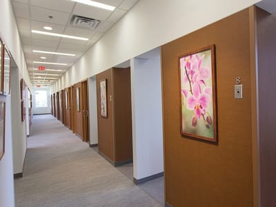 The Dental Specialists