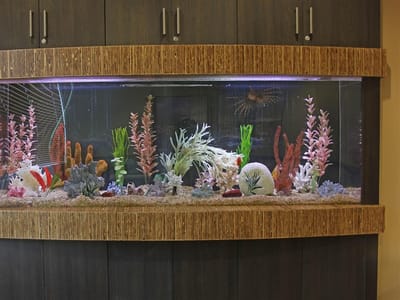 The Dentists at Orenco Station