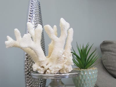 The Dentists on Rayford