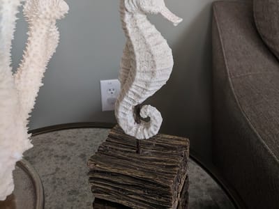 The Dentists on Rayford