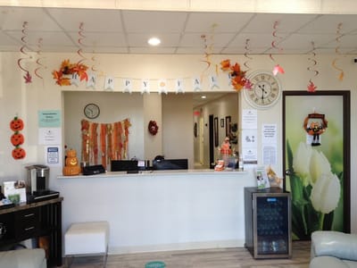 The Grand Prairie Dentist- Implants and Cosmetic Dentistry