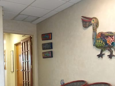 The Weston FL Dentist