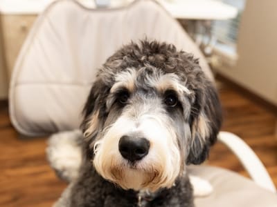 TimberView Family Dentistry