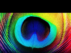 Toby C. Petro, D.D.S. & Associates