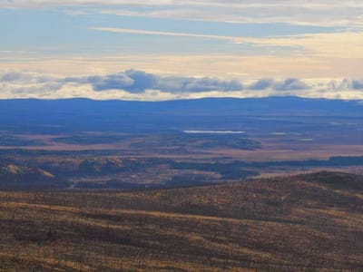 Torrey Dental: Marcus Torrey, DDS