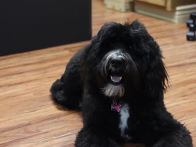 Town Square Dental - Burley