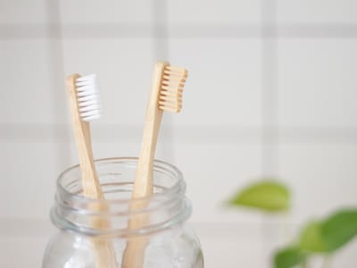 Tree City Family Dental