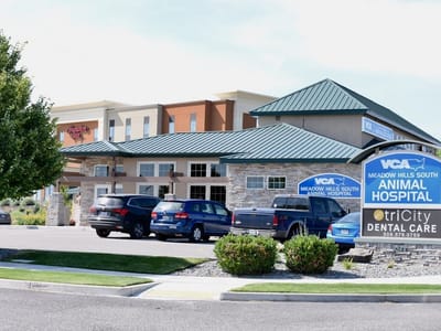 Tri City Dental Care