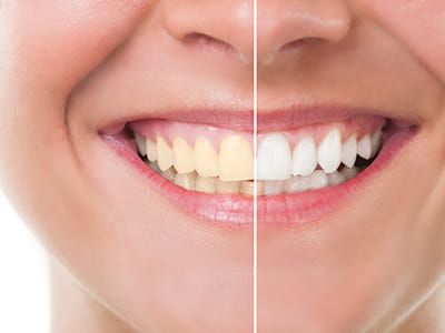 True North Family Dental