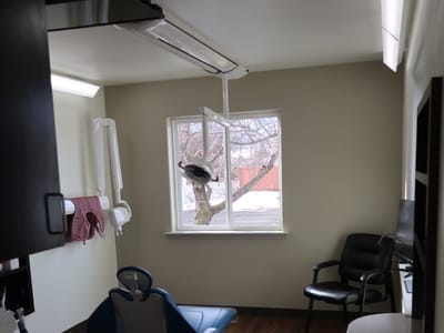 Tyler Schaffeld Dental