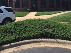 University Dental Associates - Charlotte University