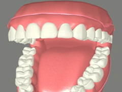 Victoria Place Dental Center