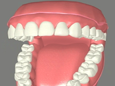 Victoria Place Dental Center