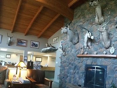 Walla Walla Dental Care: Laizure Dan L DDS