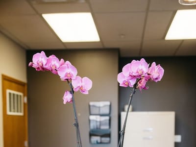 Walnut Family Dentistry