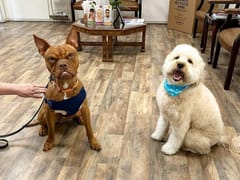 Watauga Family Dentistry.