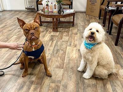 Watauga Family Dentistry.