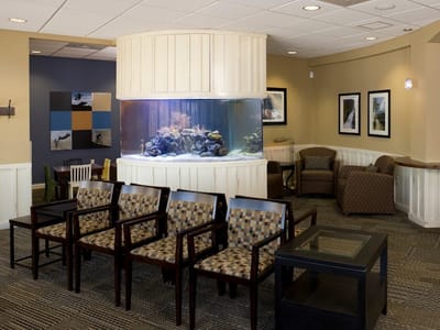 West Michigan Dental Professionals