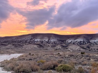 White Mountain Dental