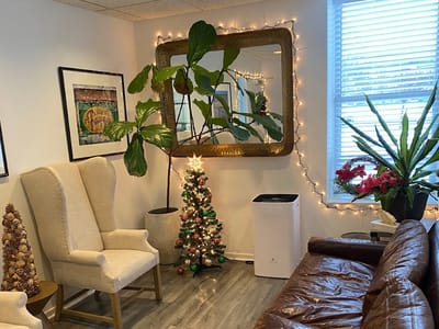 Whole Dental Wellness Birmingham