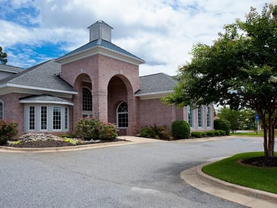 Whole Tree Dentistry