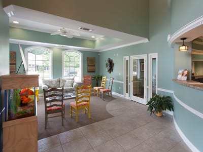 Whole Tree Dentistry