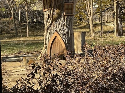 Wichita Family Dental West