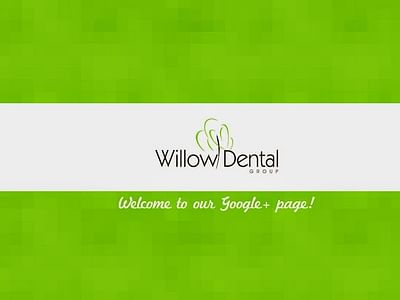 Willow Dental Group