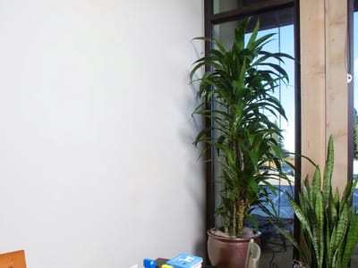 Wilson & Wilson Dentistry