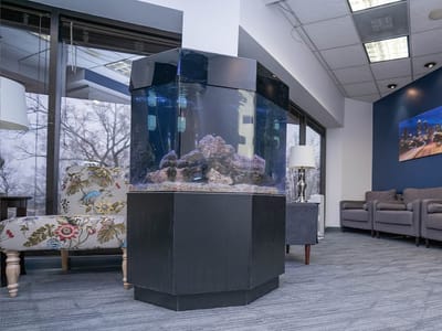 Windy Hill Dental Associates Dentist