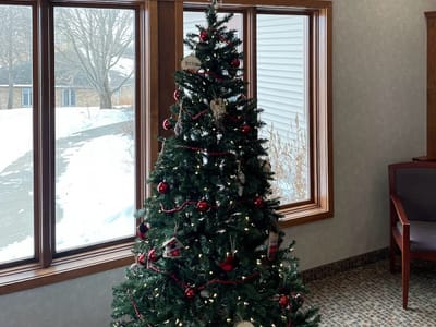 Woodview Dental Clinic