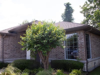 Wylie Family Dentistry