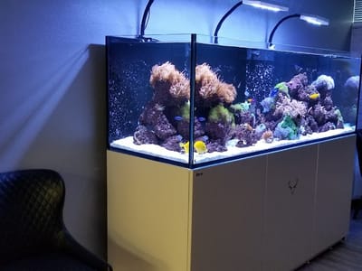 Yampa Valley Family Dentistry