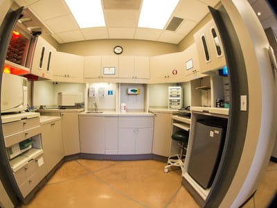 Zona Dental Group, PLLC